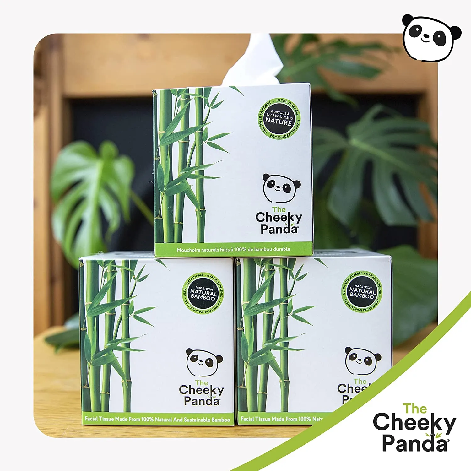 Bamboo Boxes of Tissues (12 Flat or Cube boxes)