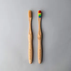 Bamboo Toothbrush (Duo)