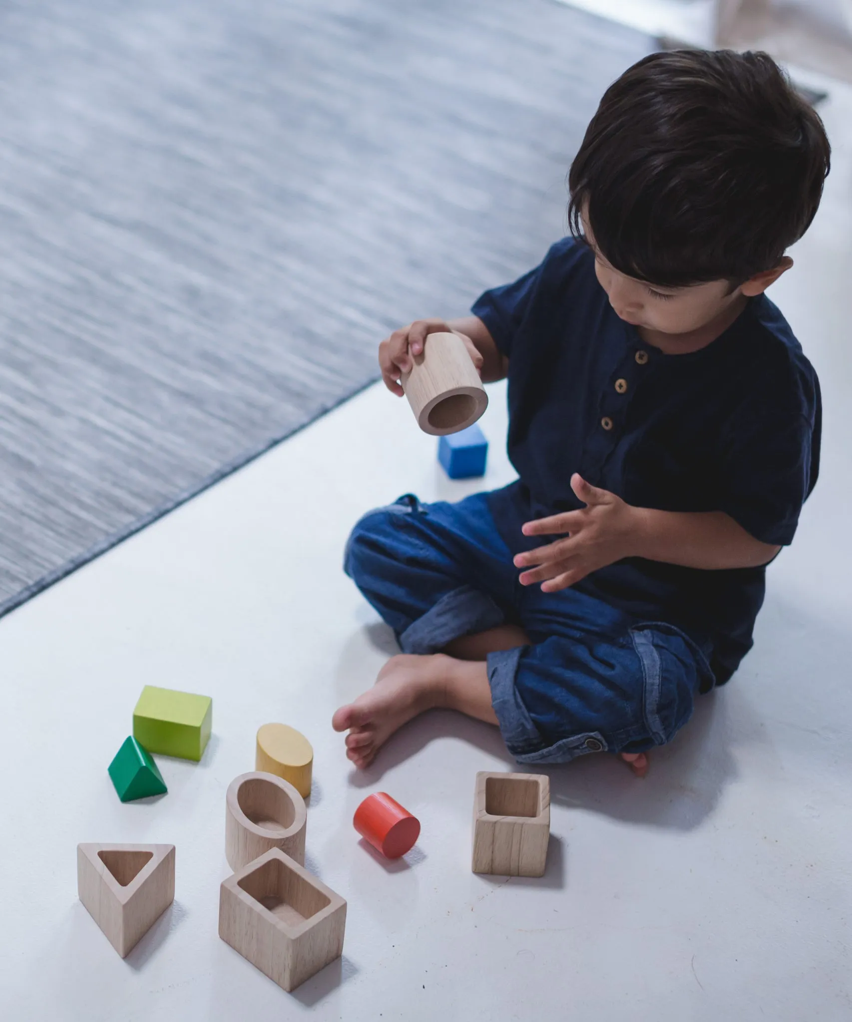 PlanToys Geo Matching Blocks