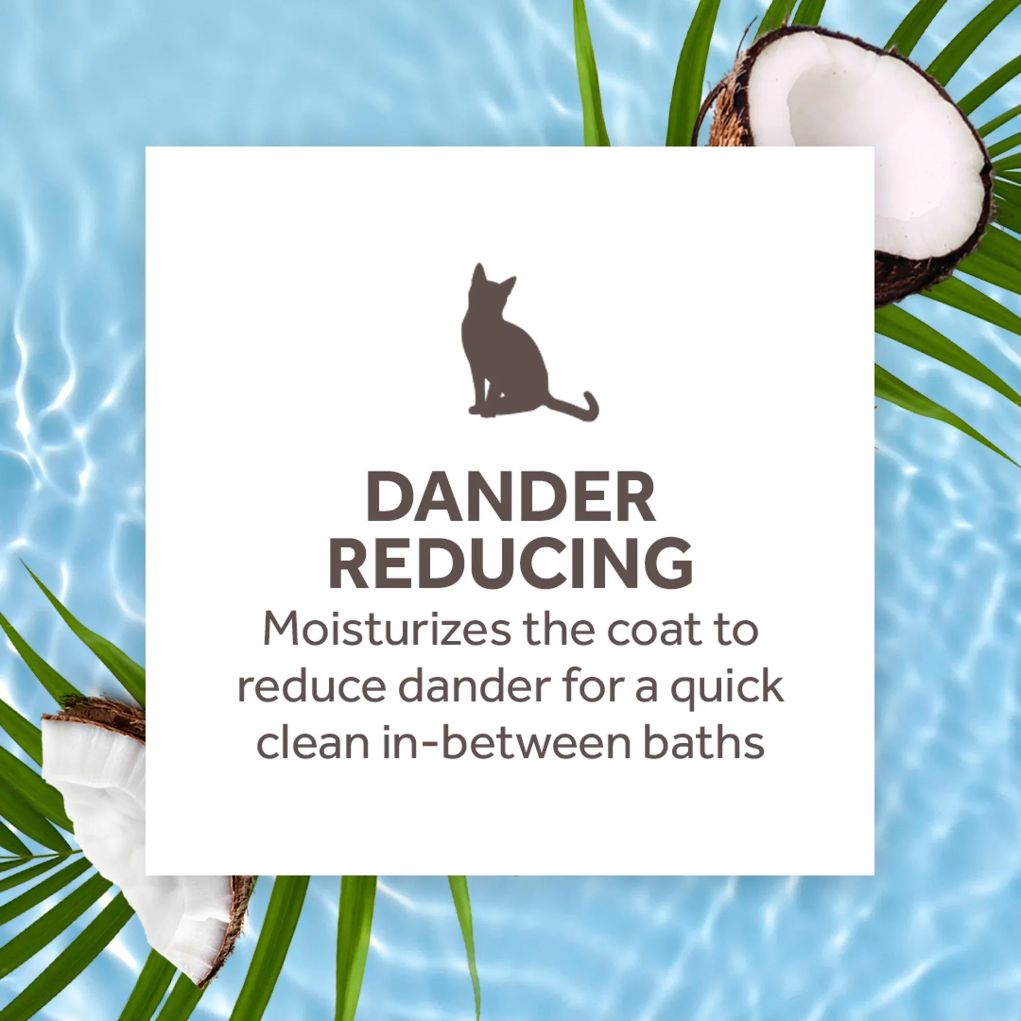 TropiClean Waterless Dander Reducing Cat Shampoo 220ml